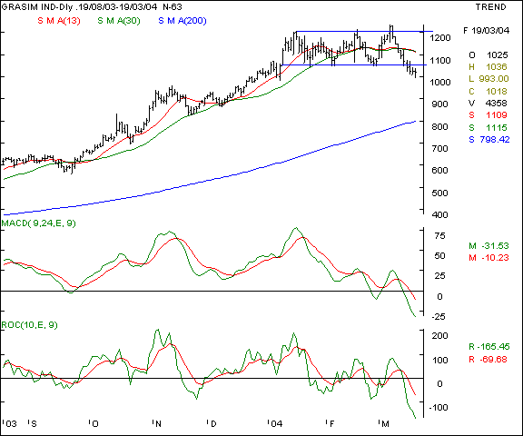 Grasim - Daily chart